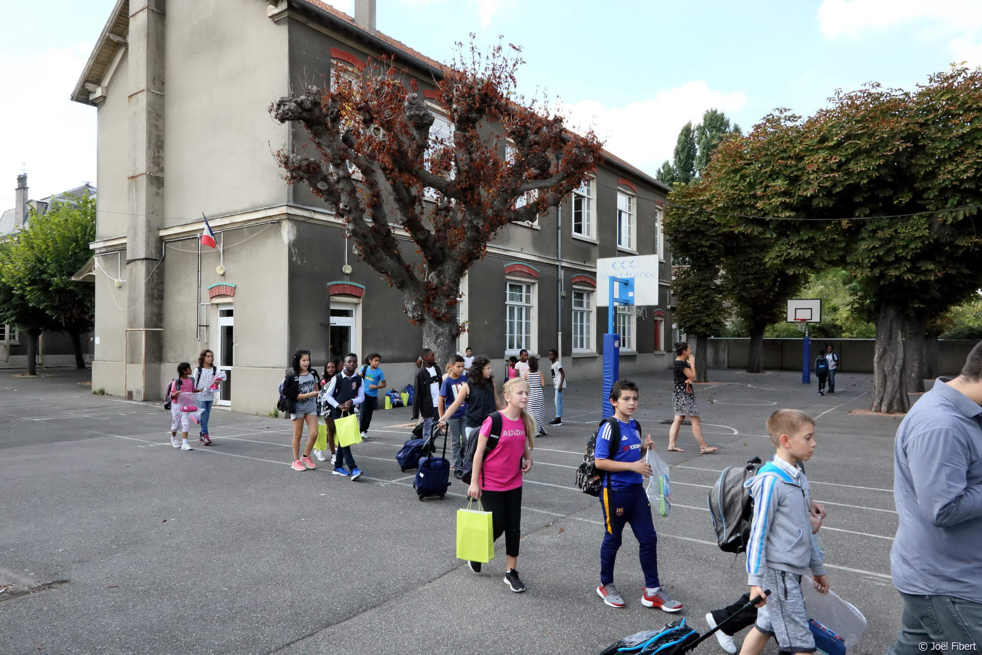 L Ecole Du Chat Villeneuve Saint Georges Villeneuve-Saint-Georges - L'actu à Villeneuve